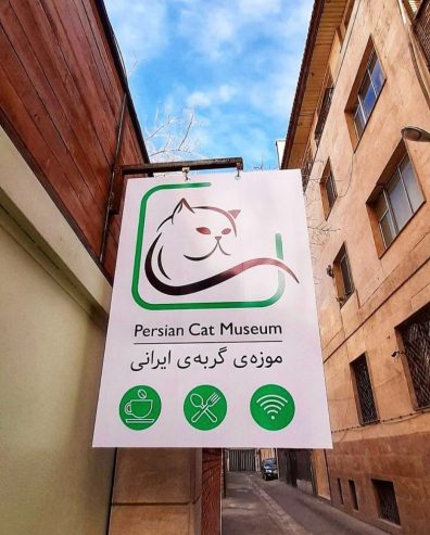 کافه موزه گربه ایرانی نیرو سالن استخدام میکند