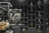 موزه سنگ آمیتیس برای قسمت کافه نیرو استخدام میکند